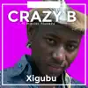 Crazy B - Xigubu (feat. Master hluckza) - Single